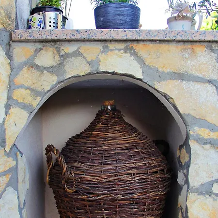 Kiwi Apartamento